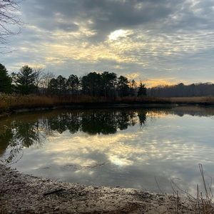 Meet your Posher, Sabrina